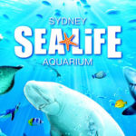 Sealife Aquarium, Sydney
